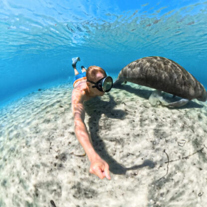 Carcasa buceo Invisible para Insta360 X5 - Imagen 7